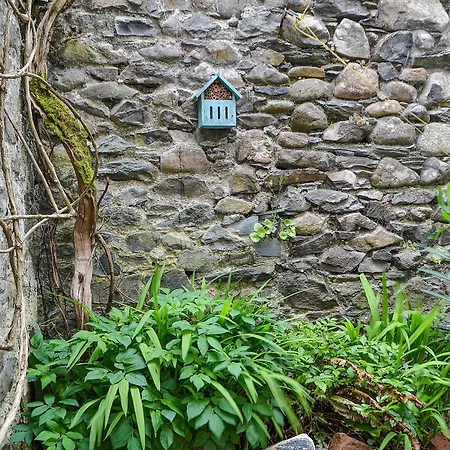 Pollywiggle * Keswick (Cumbria)